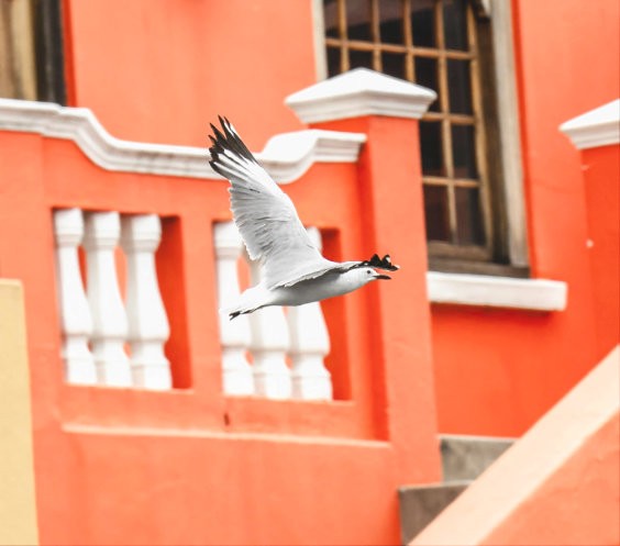 Bo-Kaap